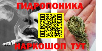 первитин Камышлов