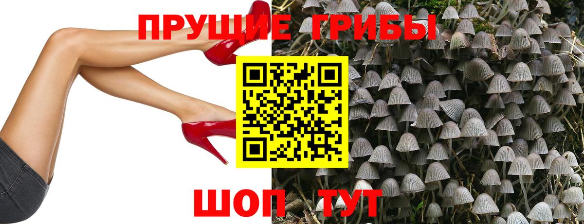 Галлюциногенные грибы Magic Shrooms Элиста