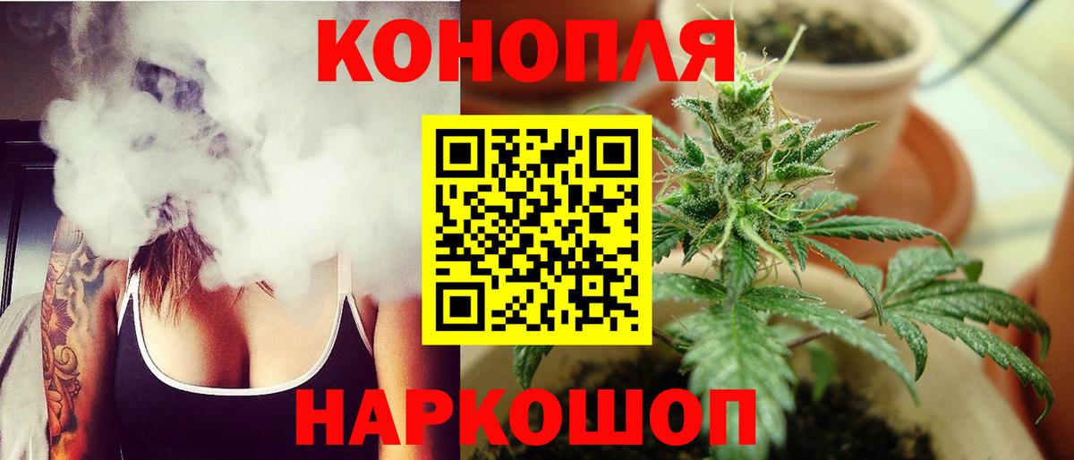 Бошки марихуана ГИДРОПОН Элиста